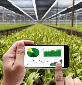 Agriculture